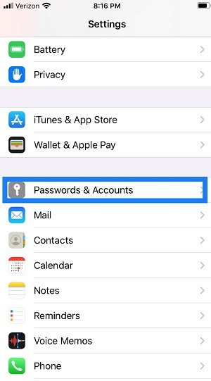 iPhone Settings screen with Password & Accounts section circled, 5 th option from the op with key icon